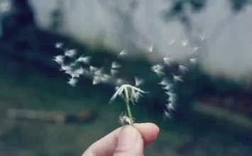 Người đáng thương